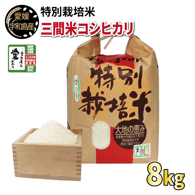 【 新米 】 新米 コシヒカリ 令和8年度産 8kg 農業組合法人はざめ G022-015001