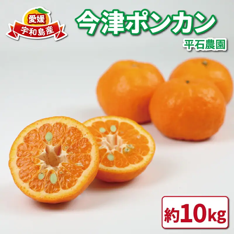 【みかん】 ポンカン10kg 家庭用 平石農園 みかんB011-017003