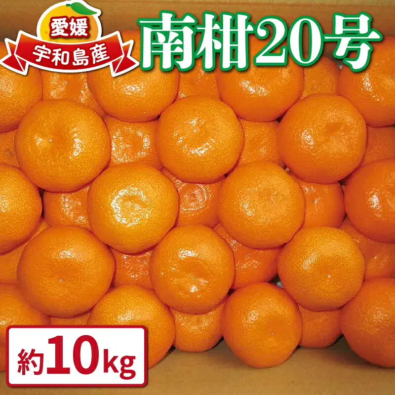 【愛媛みかん】 南柑20号 10kg WF みかん B015-024002