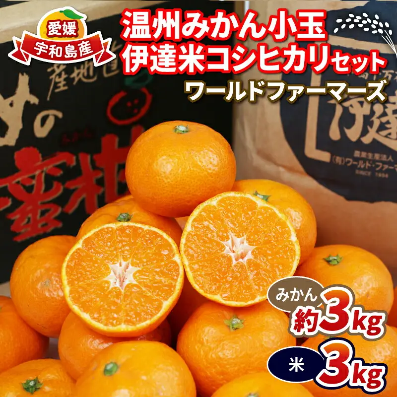 【米】温州みかん小玉約3kg伊達米コシヒカリ3kgWF│B012-024003