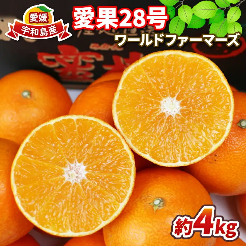 【紅まどんな と同品種】愛果28号 まどんな 4kg ワールドファーマーズ B015-024004