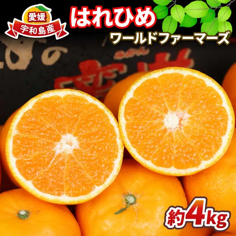 【柑橘】はれひめ4kgWF柑橘B012-024005