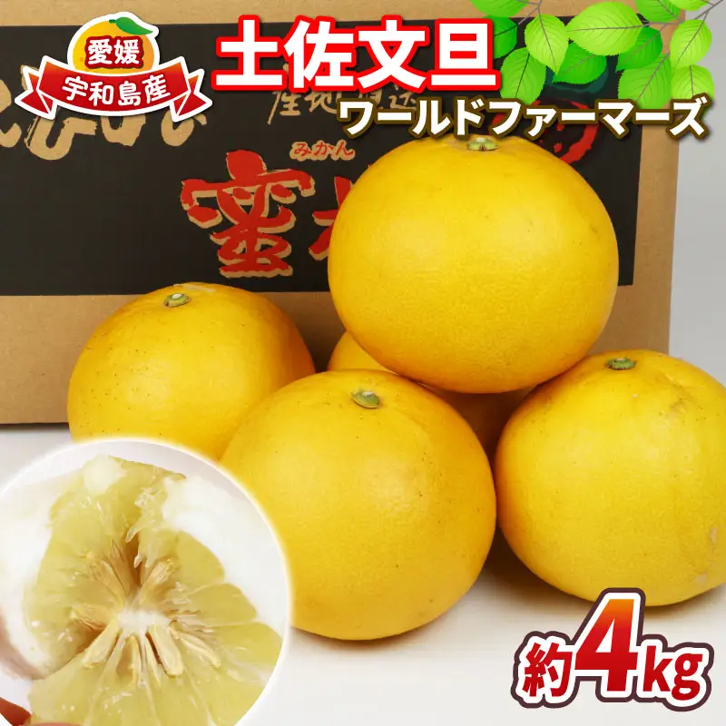 ﾜｰﾙﾄﾞﾌｧｰﾏｰｽﾞ 家庭用 土佐文旦 4kg 文旦 B010-024008