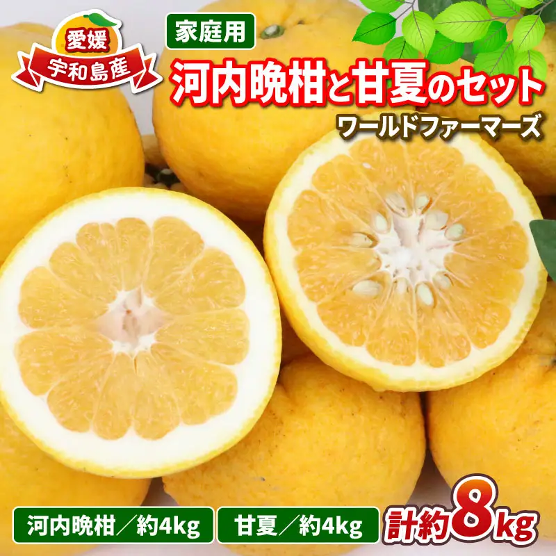 河内晩柑 4kg 甘夏 4kg 詰め合わせ セット WF 甘夏 B012-024009