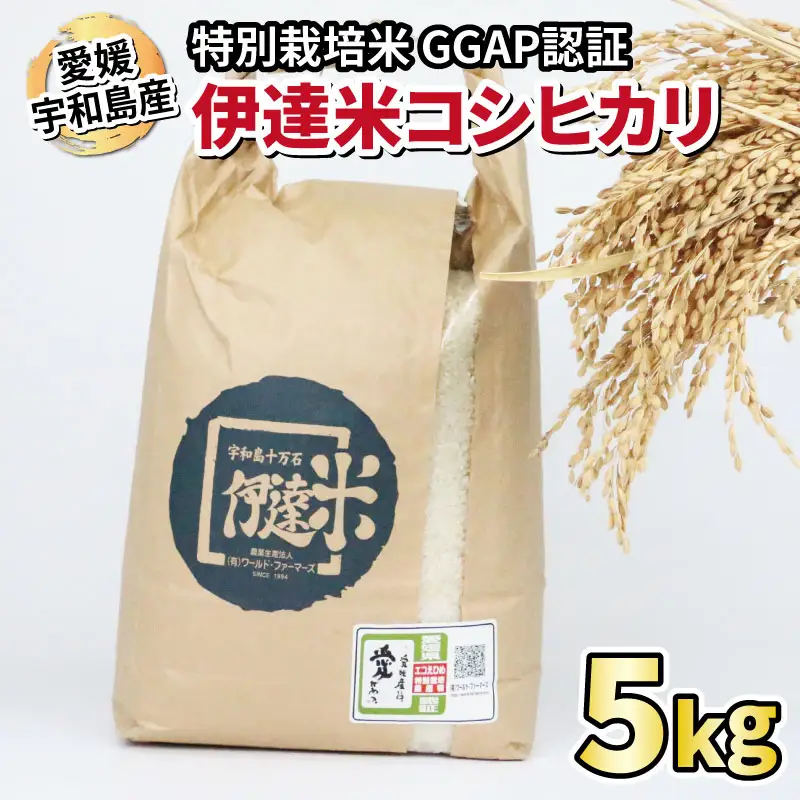 特別栽培コシヒカリ5kg令和7年度産伊達米WF|G015-024011