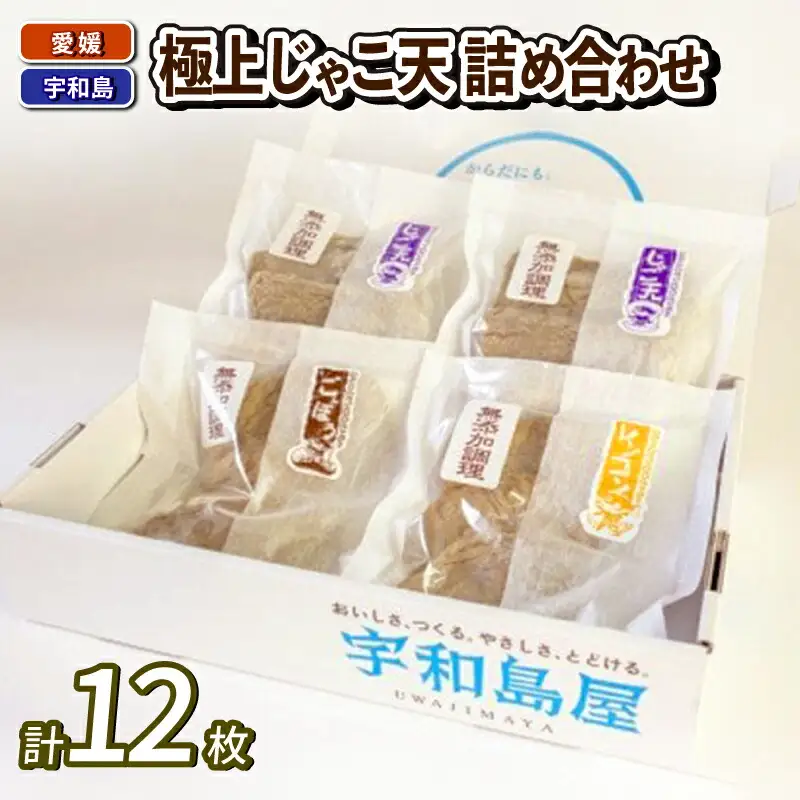 じゃこ天 セット 極上 じゃこ天 詰め合わせ 宇和島屋 C010-026001