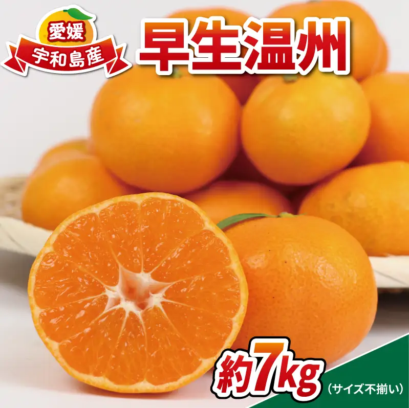 愛媛みかん 早生温州 7kg 家庭用 大小混合 南四国ファーム mikan みかん 不揃い 早生 温州 温州みかん 愛媛ミカン 愛媛蜜柑 果物 くだもの フルーツ 柑橘 蜜柑 産地直送 数量限定 国産 宇和島 B010-035001