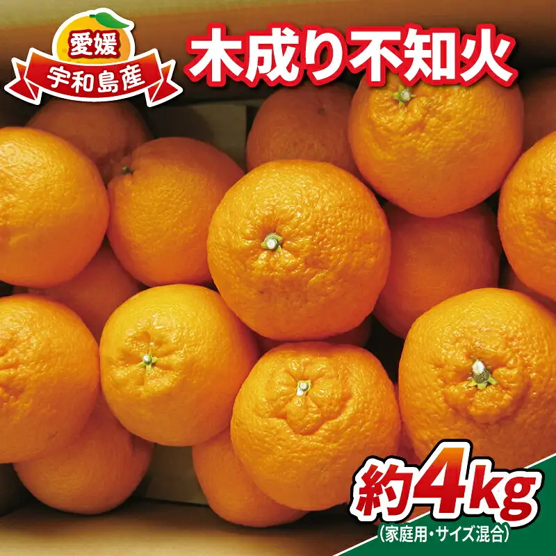 不知火 ( デコポン と同品種) デコポン 木成り 4kg 家庭用 南四国ファーム B010-035005