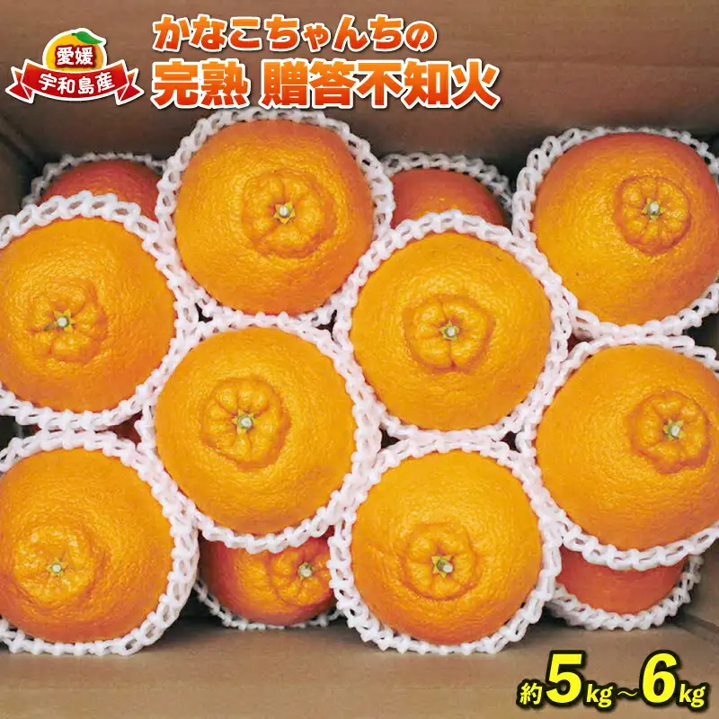 不知火 ( デコポン と同品種) 完熟 デコポン 5~6kg 贈答用 ふるくとファーム B015-037002