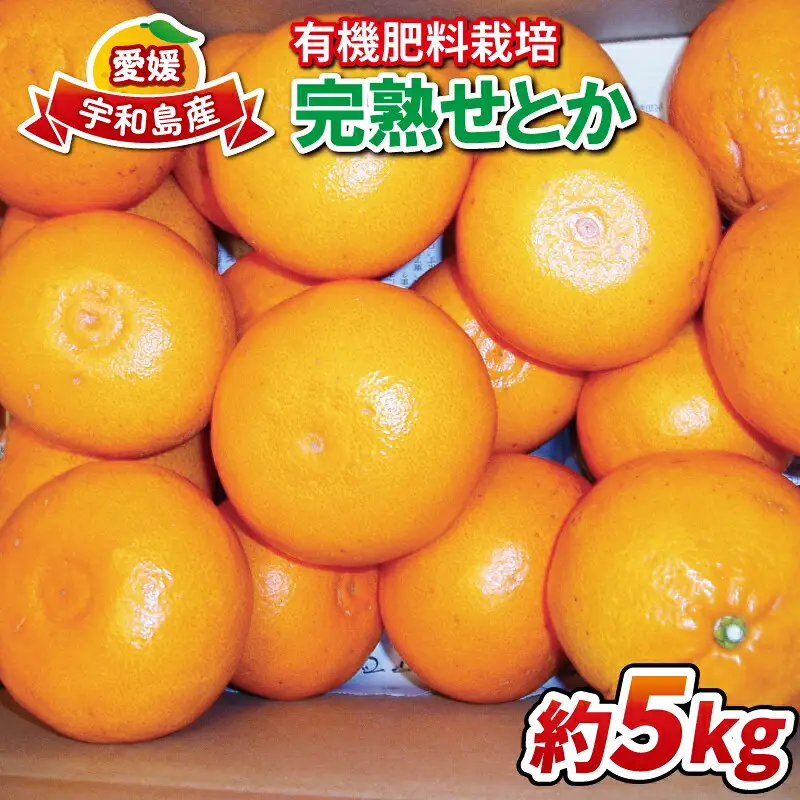 せとか 5kg 有機肥料栽培 完熟 ほんとのみかん清家農園 先行予約 高級柑橘 柑橘の 大トロ 果物 フルーツ 高級 ブランド 希少 甘い 美味しい 柑橘 みかん 蜜柑 mikan 愛媛ミカン 愛媛蜜柑 愛媛みかん 産地直送 農家直送 数量限定 国産 愛媛 宇和島 B018-040002