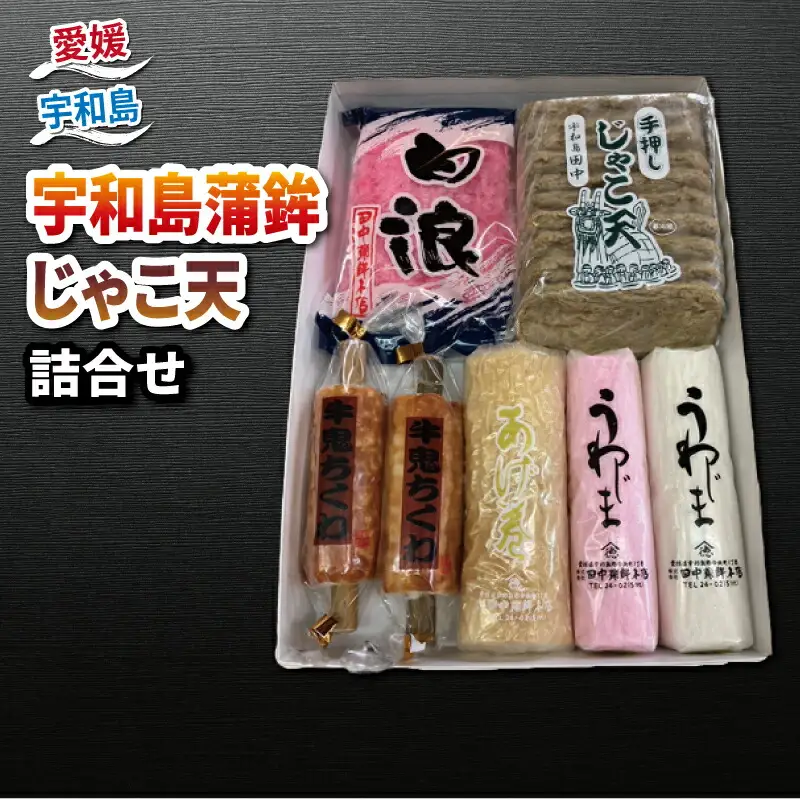 じゃこ天 蒲鉾 詰め合わせ 田中 蒲鉾 本店 C024-045010