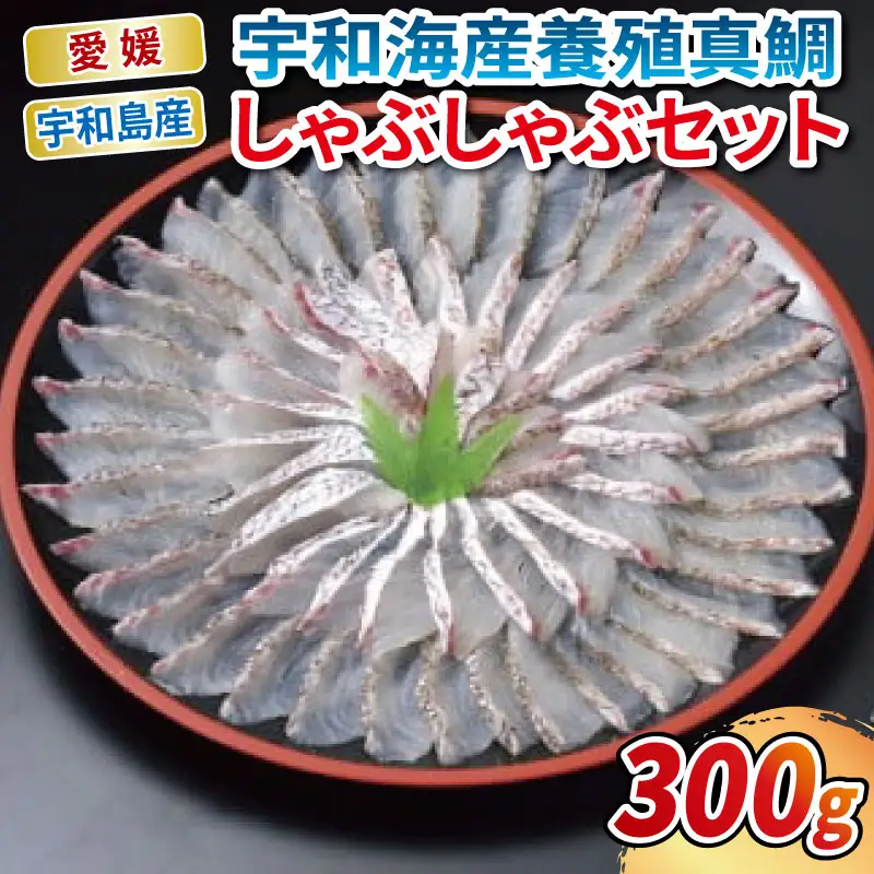 真鯛 鯛しゃぶ セット エビス D020-047002