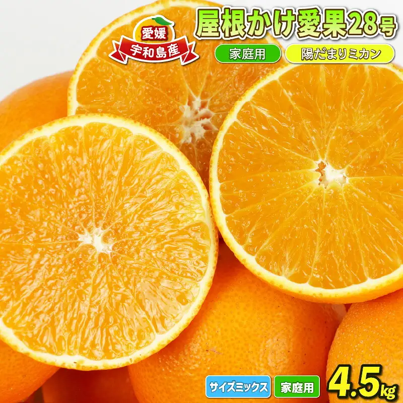 【紅まどんな と同品種】屋根かけ愛果28号 まどんな 4.5kg陽だまりミカン│B018-050004
