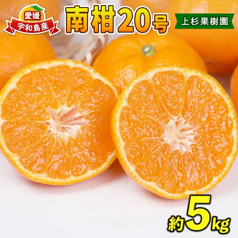 温州みかん 南柑20号 5kg MまたはL サイズ 上杉果樹園 温州みかん B010-056004