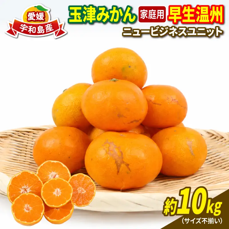 愛媛 みかん 早生 温州 10kg 家庭用 サイズ不揃い NBU みかん B015-058001
