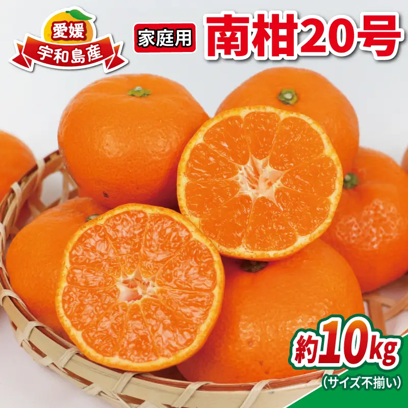 【みかん】南柑20号10kg家庭用サイズ不揃いNBUみかん|B015-058002