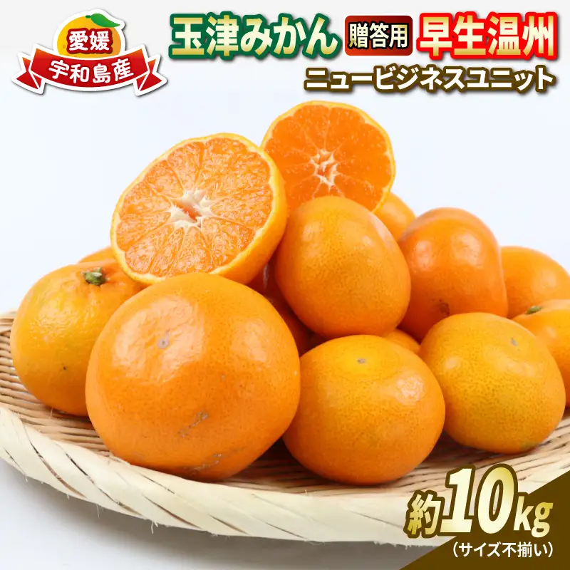 贈答用 優品 愛媛 みかん 早生 温州 10kg サイズ不揃い NBU B018-058004