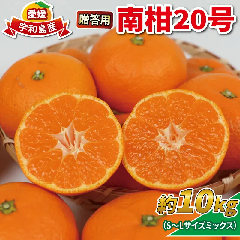 みかん 10kg 贈答用 南柑20号 サイズ不揃い みかん NBU B018-058005
