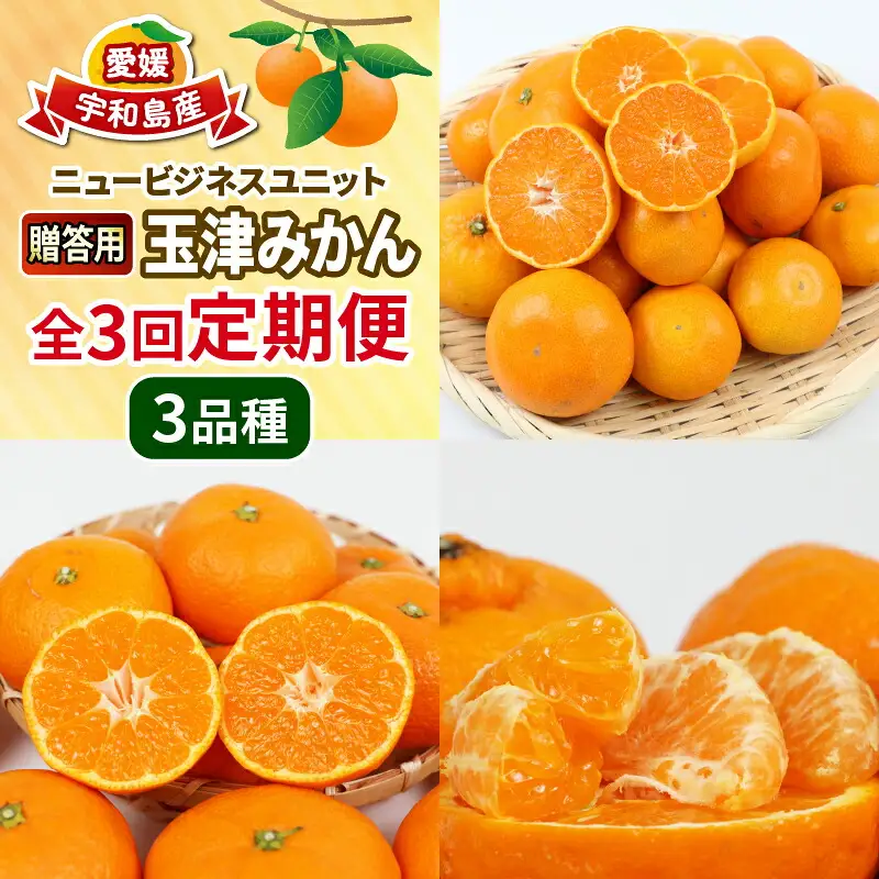 【定期便】みかん定期便柑橘3回NBU |B050-058007 みかん