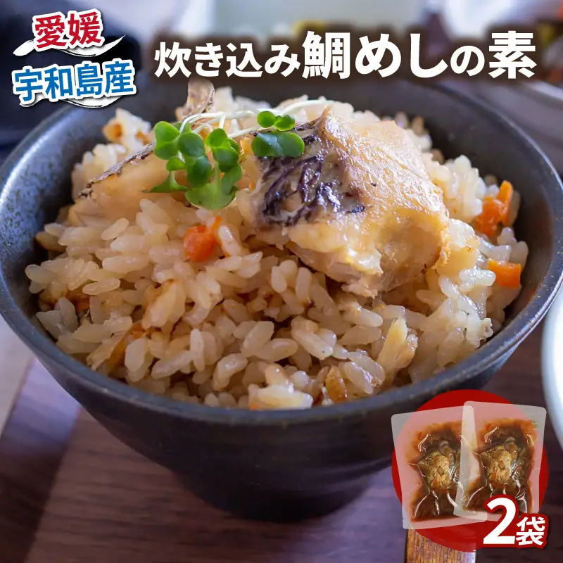 炊き込み鯛めし の 素 2合分× 2個 コバヤ ご飯 D010-059001