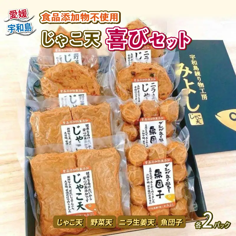 じゃこ天 喜びセット 食品添加物不使用 特定原材料8品目不使用 宇和島練り物工房みよし C012-061001