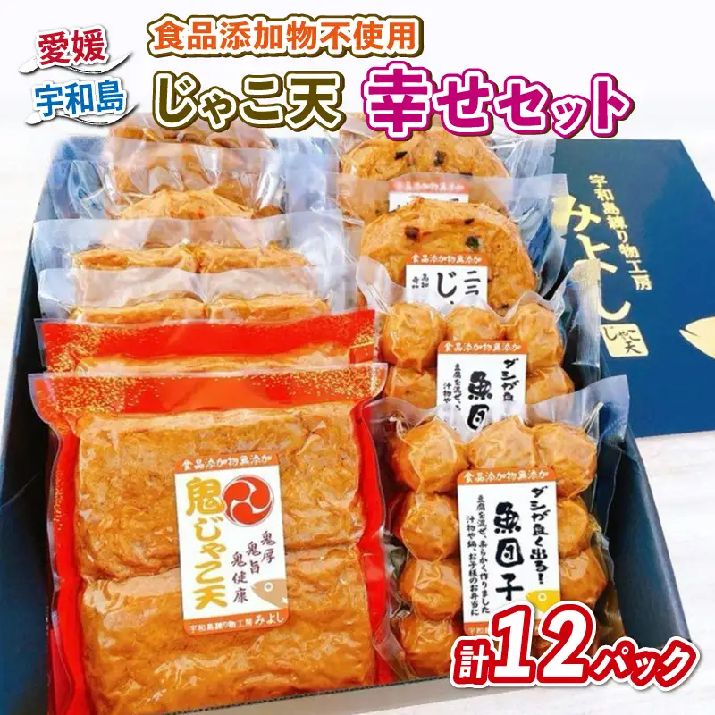 じゃこ天 幸せセット 食品添加物不使用 特定原材料8品目不使用 宇和島練り物工房みよし C022-061003