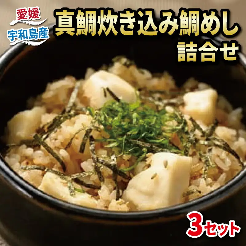 炊き込み ご飯 鯛めし3セット 辻水産 ご飯 D012-062003