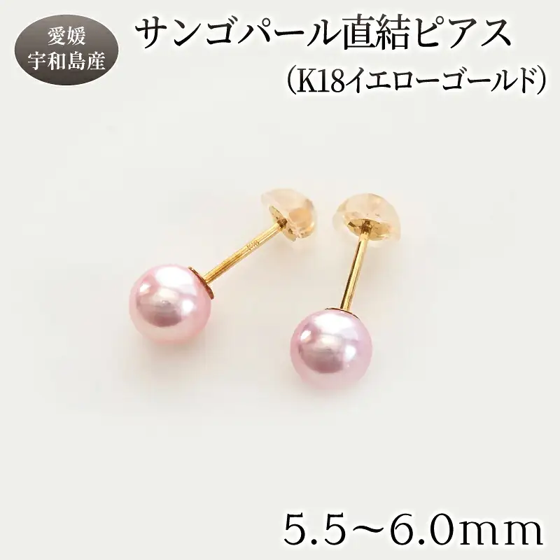 サンゴ パール 直結 ピアス 5.5-6.0mm イエローゴールド 松本真珠 ピアス A170-068007