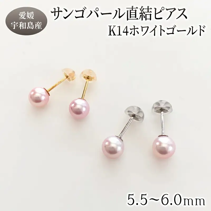 サンゴ パール 直結 ピアス 5.5-6.0mm ホワイトゴールド 松本真珠 ピアス A170-068008