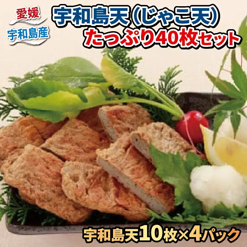 【練物】じゃこ天40枚小林フーズ 練物|C012-070001