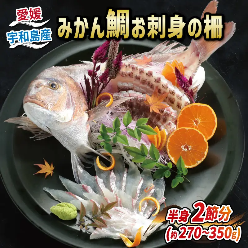 みかん鯛 刺し身用270g~350g 宇和島ﾌﾟﾛｼﾞｪｸﾄ | 刺し身D012-071001