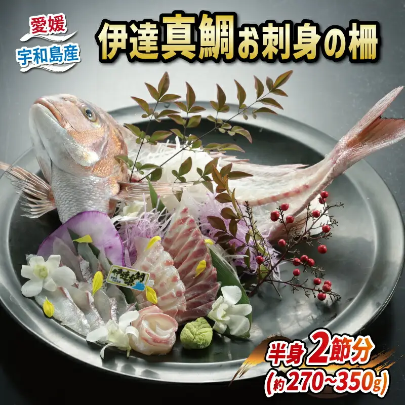 伊達真鯛 刺身 柵 宇和島プロジェクト 真鯛 D012-071002
