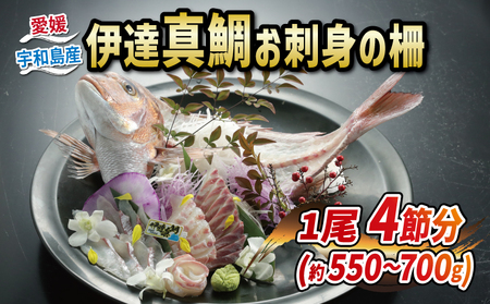 伊達真鯛 刺身 柵 宇和島プロジェクト真鯛 D022-071005