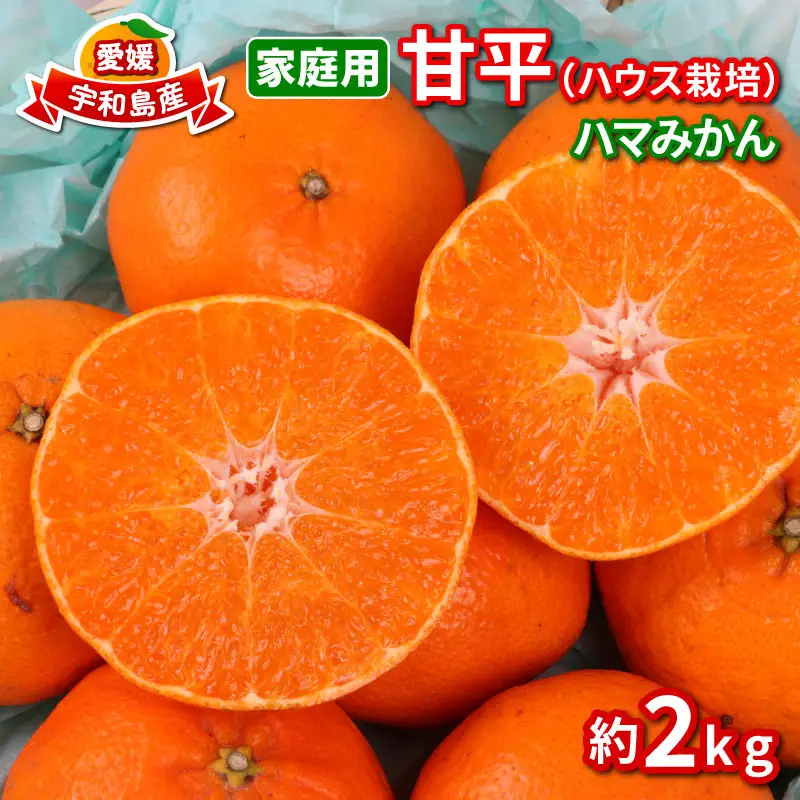 【甘平】高級柑橘2kg家庭用ハウス栽培ハマみかん甘平|B012-075002