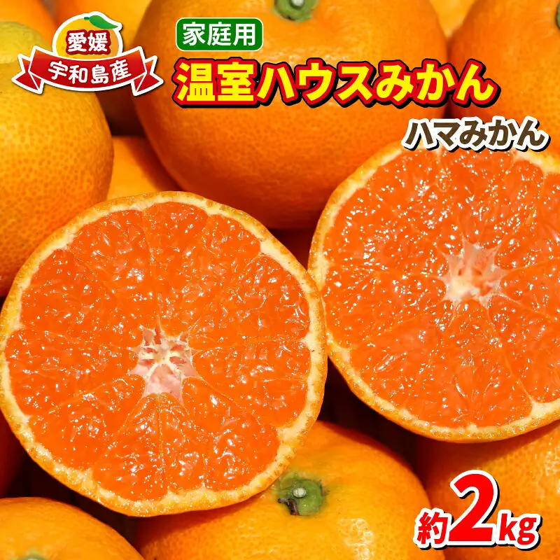 ハウスみかん 2kg家庭用ハマみかん B015-075004