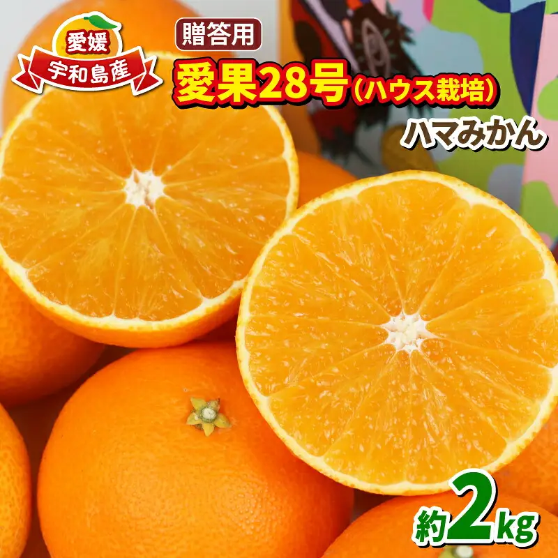 【紅まどんな と同品種】 【愛果28号】 贈答用 2kg まどんな 【B018-075005】
