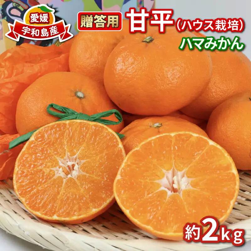 甘平 高級柑橘 2kg 贈答用 甘平 ハウス栽培 ハマみかん B020-075006