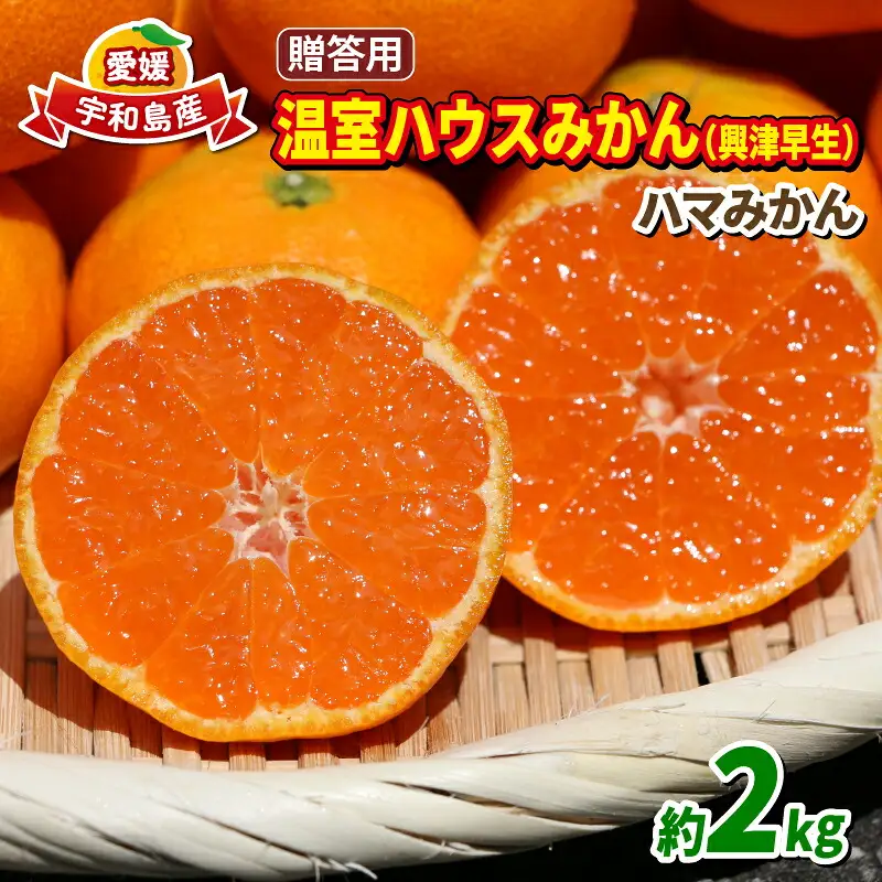 ハウスみかん 贈答用 2kg ハマみかん ハウス B024-075008
