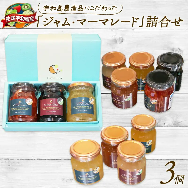 ジャム マーマレード 詰め合わせ 3個 Citrus-Line ジャム J012-098001