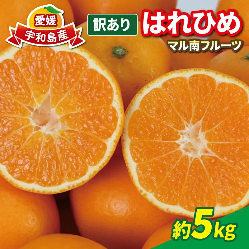 柑橘訳ありはれひめ5kg 先行予約マル南フルーツ みかん柑橘柑橘柑橘柑橘 B012-106002