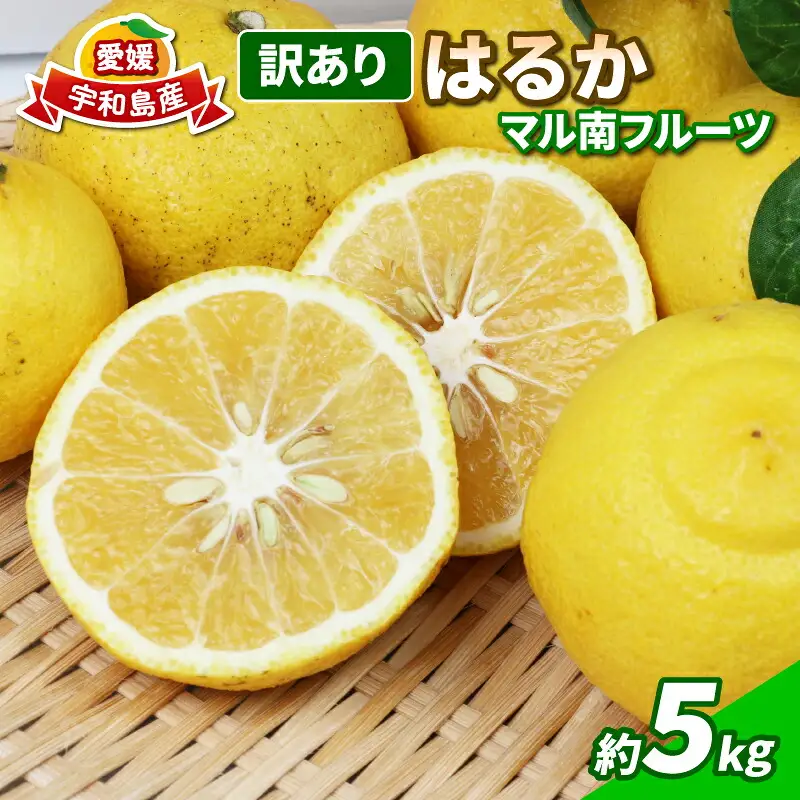 訳あり はるか 5kg マル南フルーツ はるか B012-106003