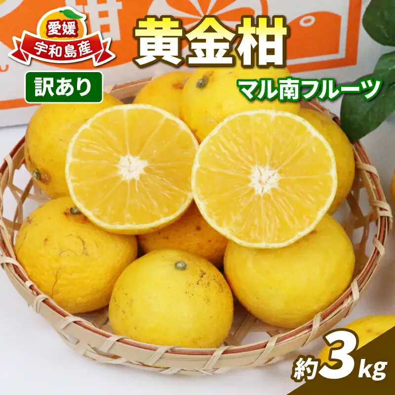 訳あり 黄金柑 3kg マル南フルーツ 黄金柑 B010-106010 7,000円
