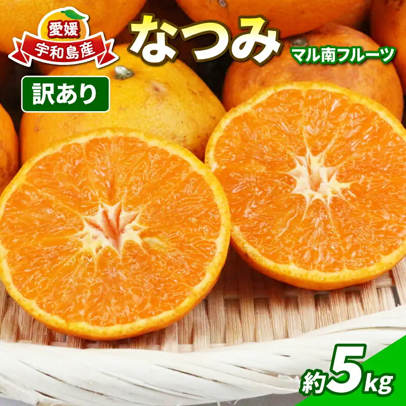 訳あり なつみ みかん 5kg マル南フルーツ 訳ありみかん B010-106012
