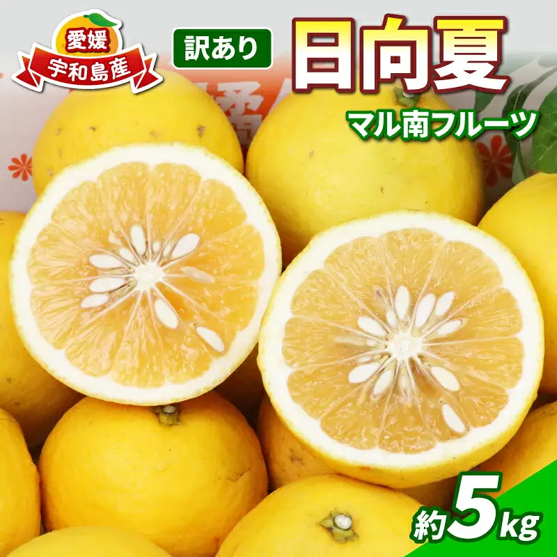 訳あり 日向夏 5kg マル南フルーツ 日向夏 B010-106013
