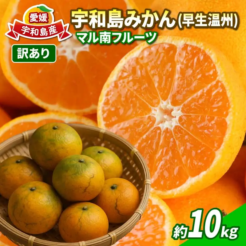 【温州みかん】 訳あり 温州みかん 早生 約10kg マル南フルーツ B010-106017
