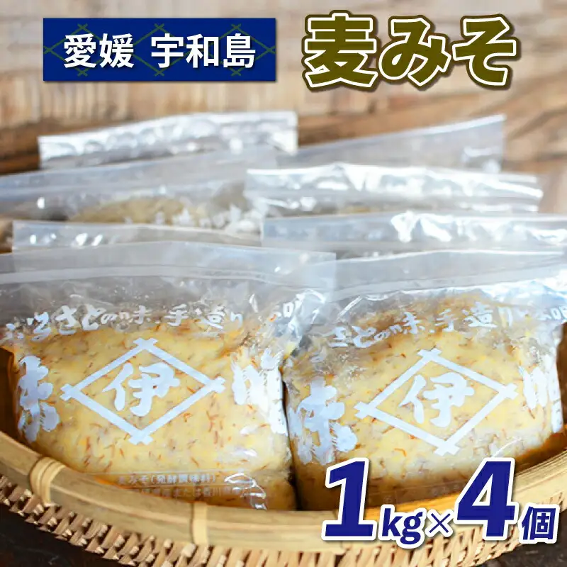 【マツコの知らない世界で紹介！】 みそ 麦みそ 4kg 井伊商店 J010-108001