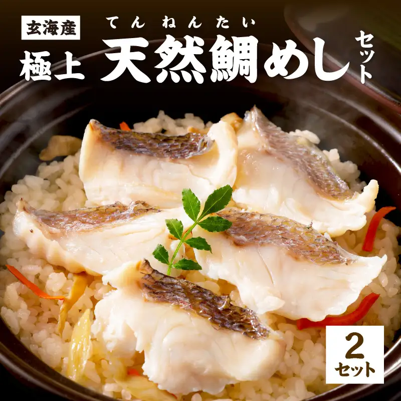 玄海の極上天然鯛めしセット[鯛の切身、だし汁、鯛茶漬け用だし]×2【010-0002】