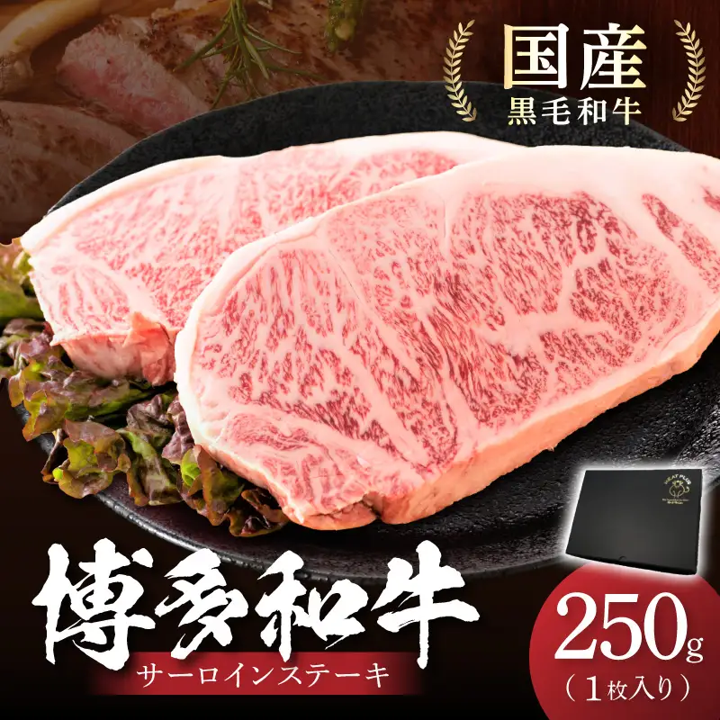 博多和牛サーロインステーキ　250g[250g×1枚]【014-0029】
