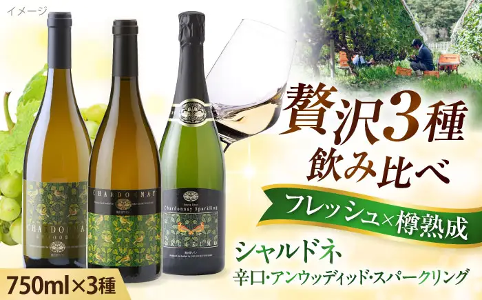 ワイン シャルドネセット 計3本 [AICS043]
