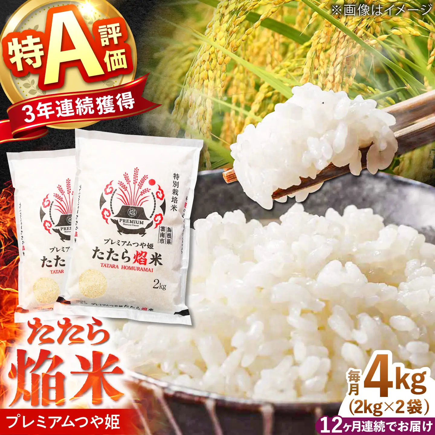 新米 【12回定期便】 プレミアムつや姫 4kg 新米 [AIBR004-r8]